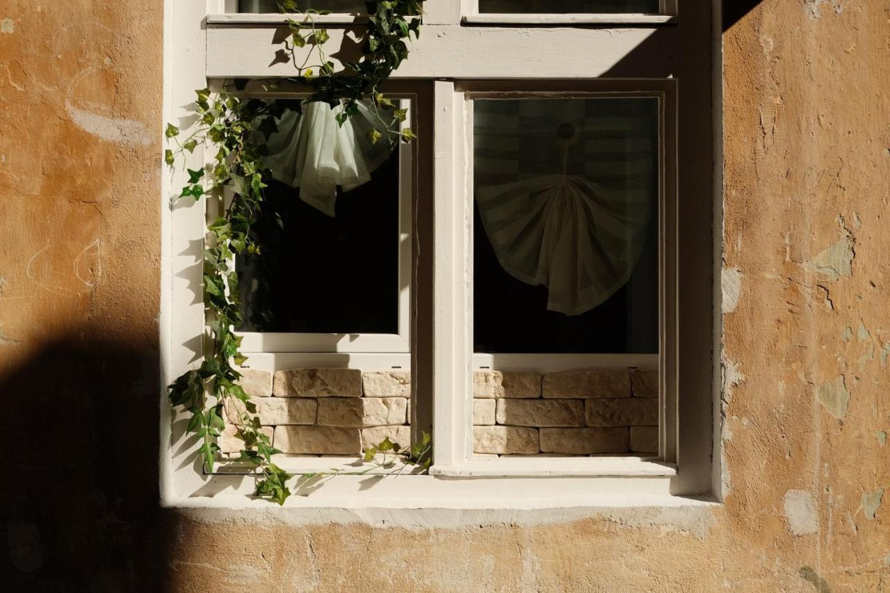 Cozee Studio - In Inima Brasovului Extérieur photo