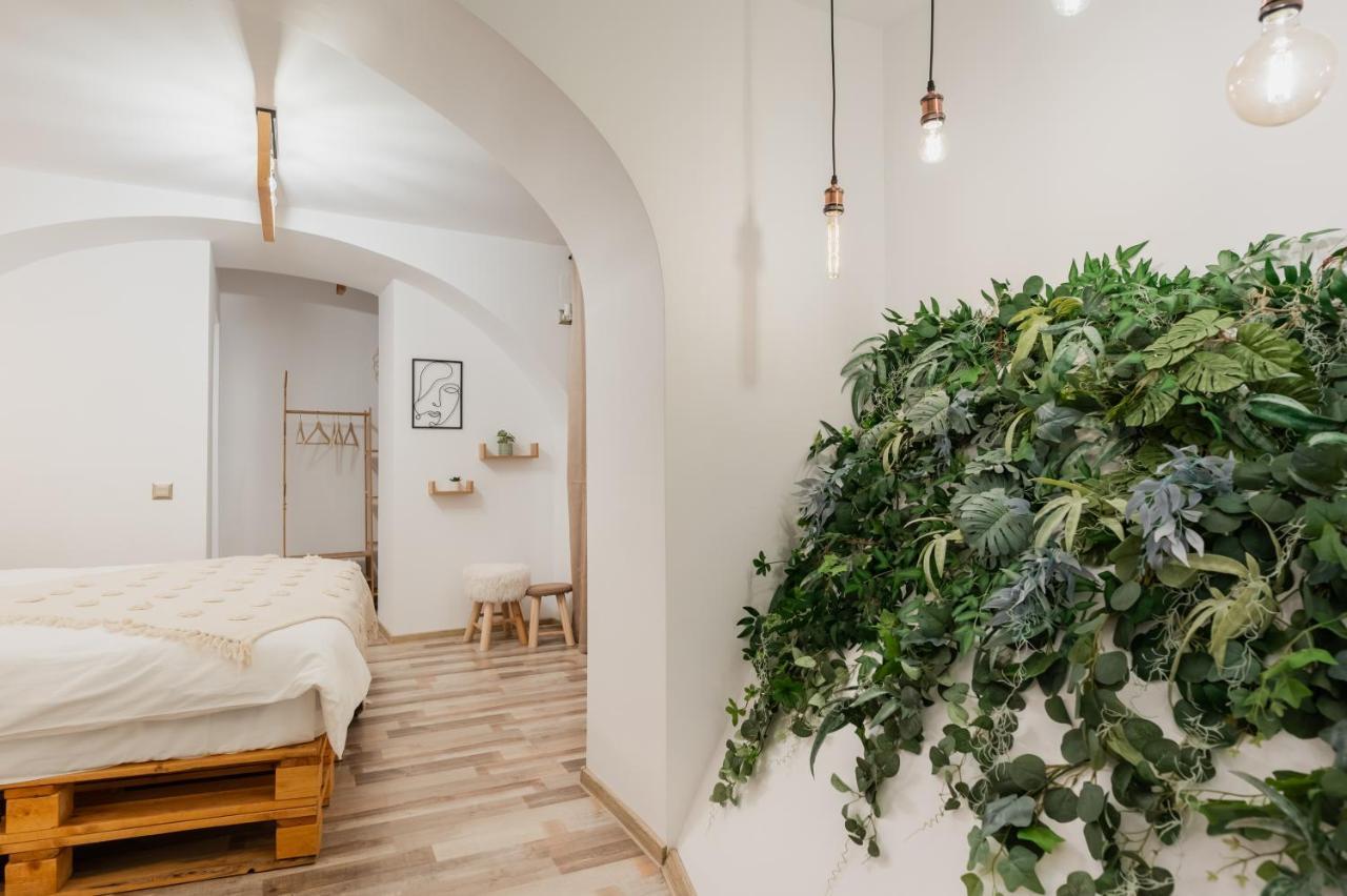 Cozee Studio - In Inima Brasovului Extérieur photo