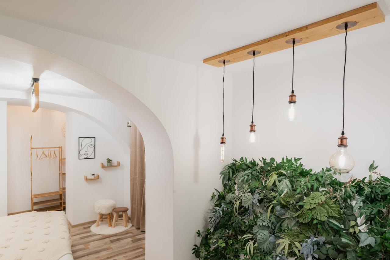 Cozee Studio - In Inima Brasovului Extérieur photo